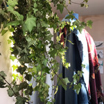 IMG_4200.JPEG