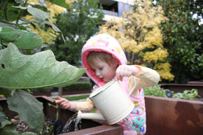 Brisbane family photography