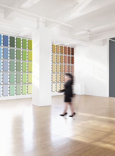 Color Palette