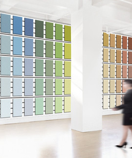 Color Palette
