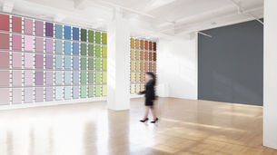 color palette