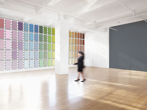 color palette