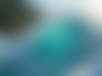 Explore Ocean-Inspired Art from Wailupe Designs