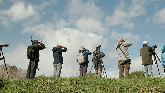 Watching People Watching Birds