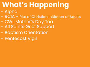 April 12th What's Happening? 