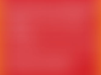 November 30th Around the Archdiocese 