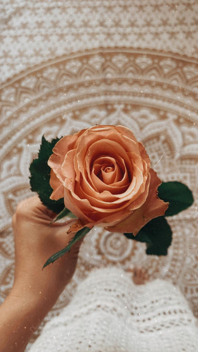Return to Love: Women's Circle & Cacao Ceremony for Love Relationships