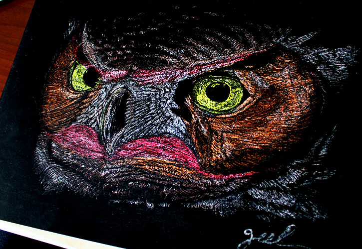 owl scratch.jpg