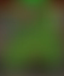 Age Of Heroes Online Keygen Pc Pro Torrent