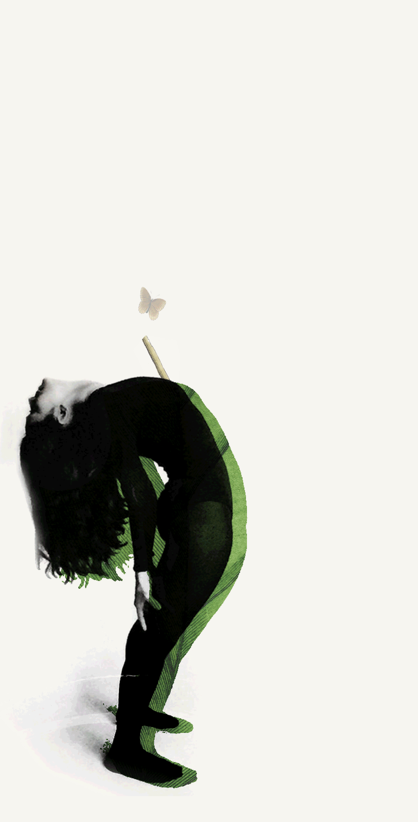 yogi.gif