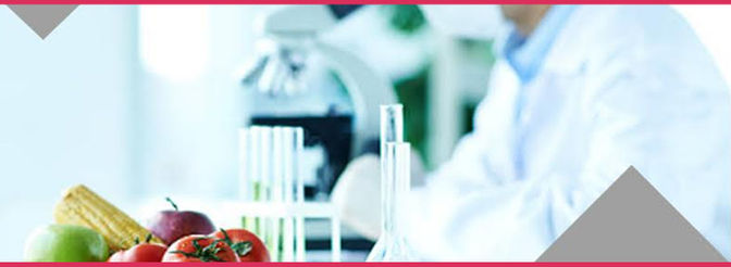 Biotech flavors market size will observe substantial growth by 2024
