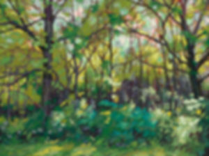 Tangled - Framed Canvas