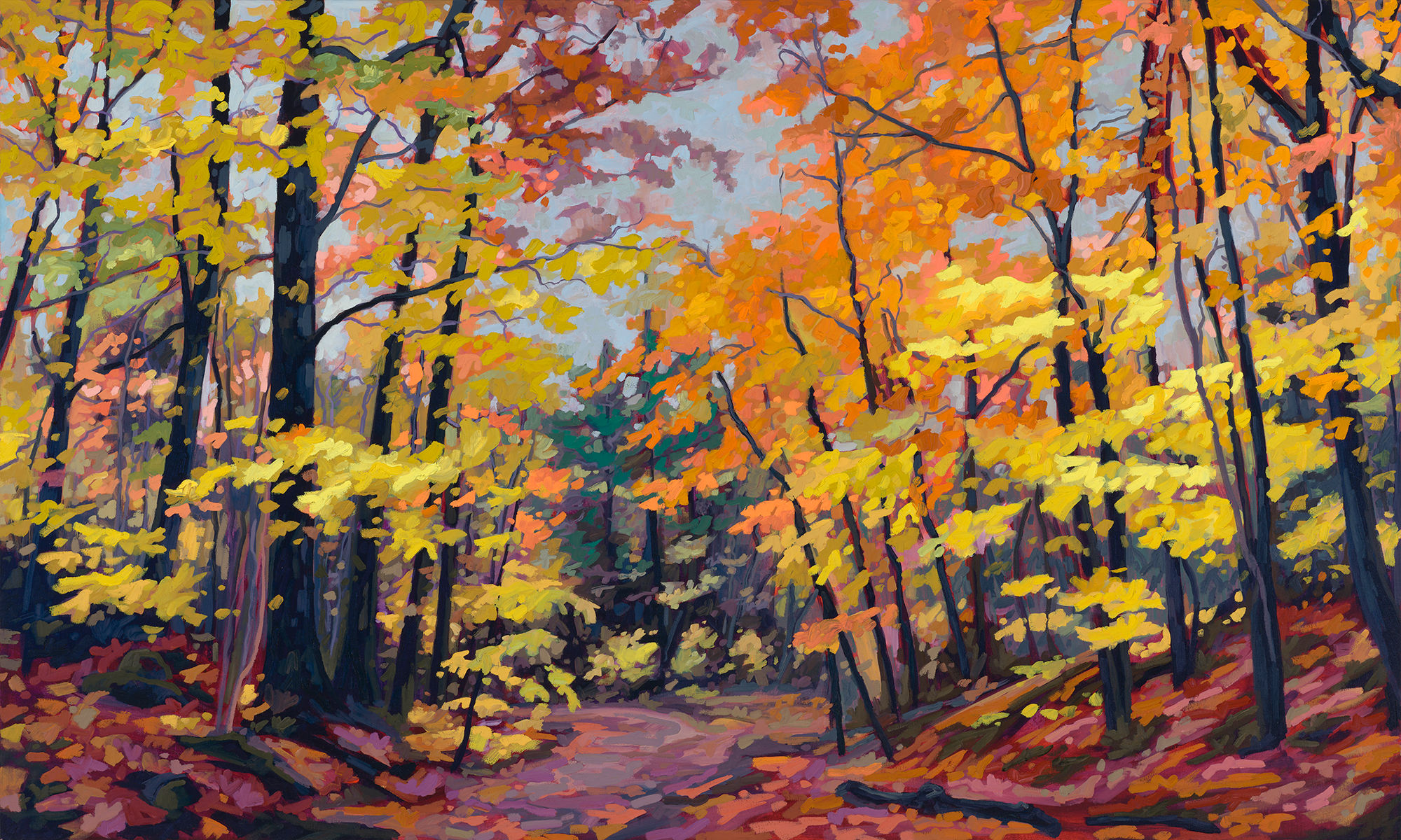 Forest Wander (Near Skeleton Lake, Muskoka, ON)