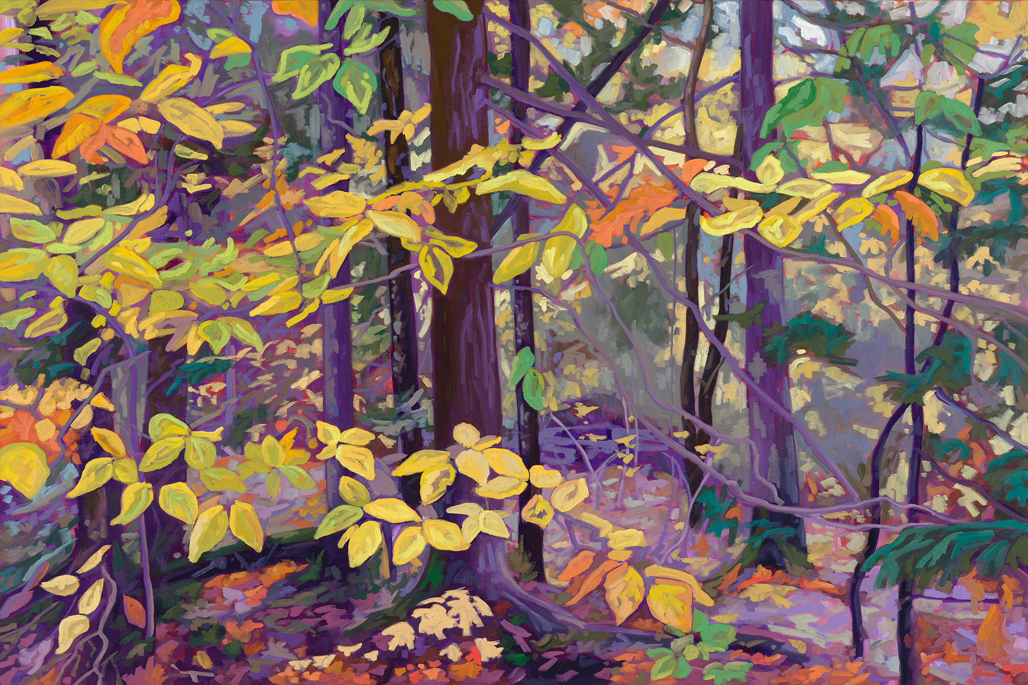 Show Your True Colours