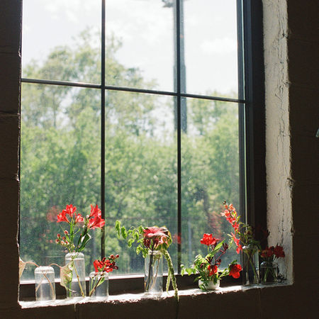 Collection of glass bud vases with red flowers in sunny black industrial window at Paikka, St. Paul, MN
