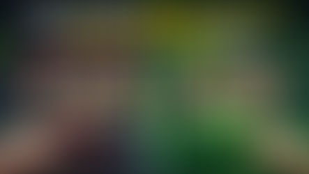 What Does Nvidia Reflex Low Latency Do: Breakdown of Input Lag Reduction