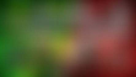 Is Nvidia or AMD Better for Gaming: A 2026 Performance & Value Comparison