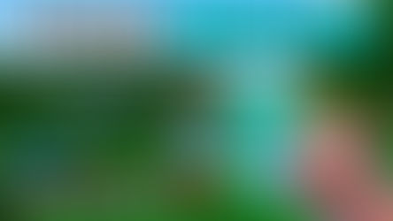 Can You Hide Armor in Minecraft?