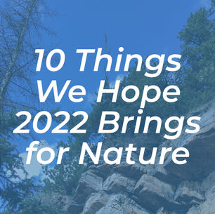 10 Things We Hope 2022 Brings for Nature