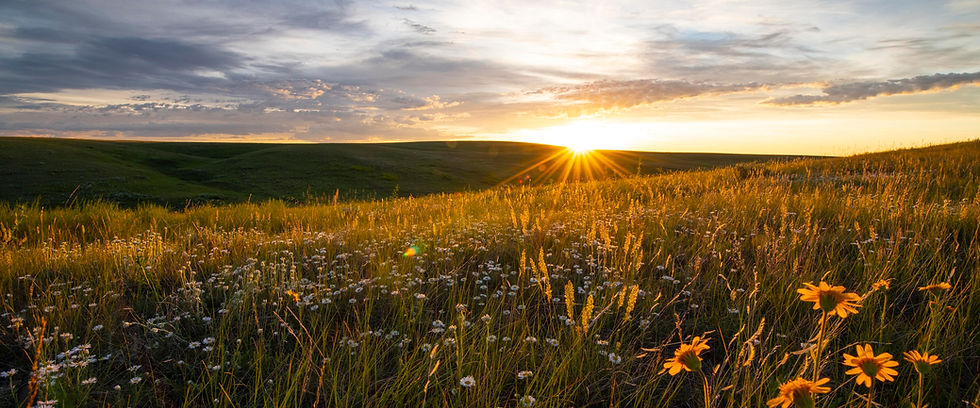 Old Man on His Back Prairie and Heritage Conservation Area, SK_Landscape Sunset1 2.jpg