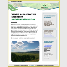 What is a CE?