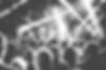 black-and-white-bw-concert-crowd-preview.jpeg