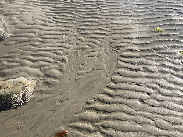Nahant Beach, Massachusetts