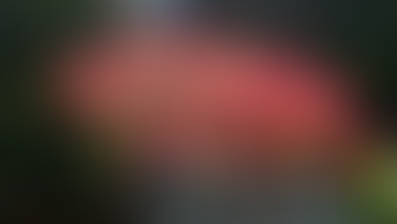 Glenn Duggan was our speaker in July