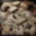 DALL·E 2025-01-12 14.05.08 - A photorealistic depiction of a scattered collection of famil