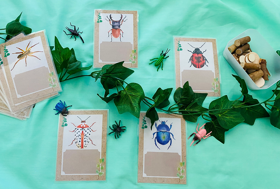 Insect Set