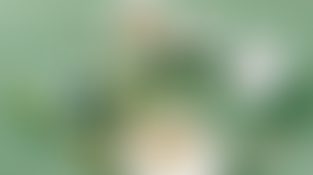 Australia’s Medical Capability Towards Prevention  