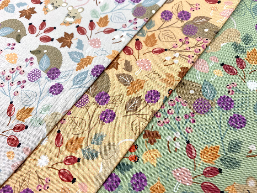 Squirrelled Away by Cassandra Connolly for Lewis and Irene