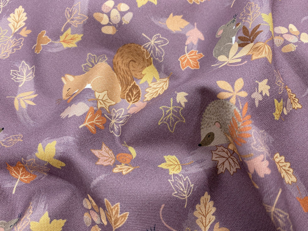 Squirrelled Away by Cassandra Connolly for Lewis and Irene