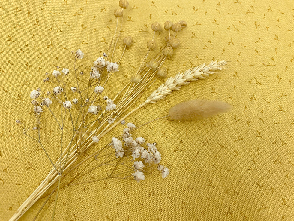 Meadowside by Cassandra Connolly for Lewis and Irene