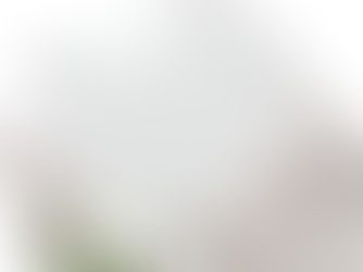 McCalls 6915 Dress Pattern Review