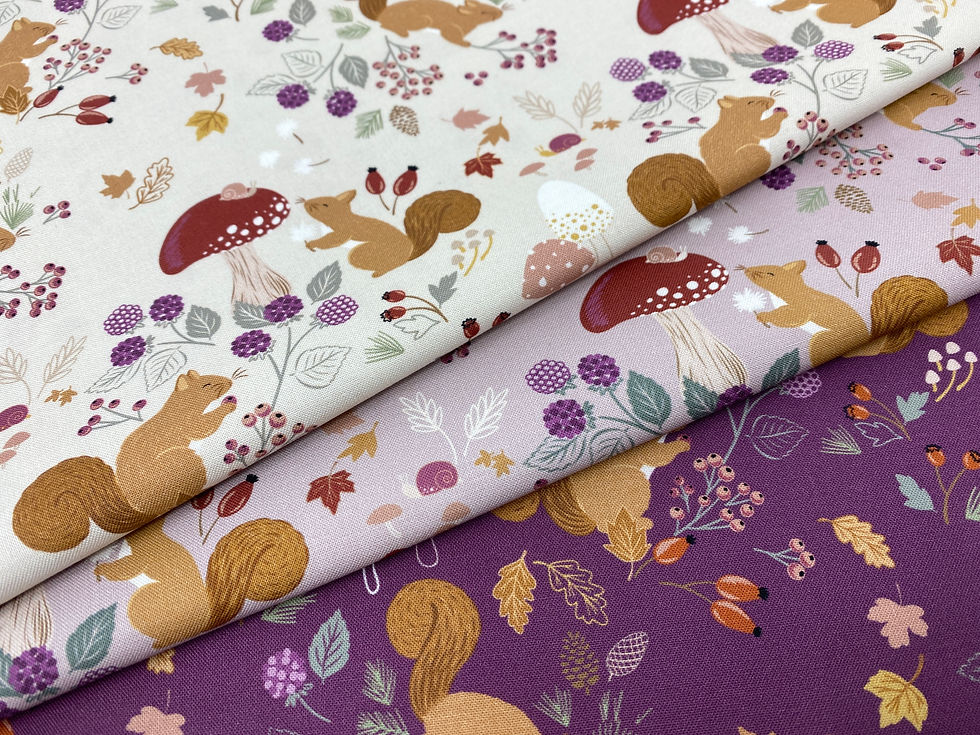 Squirrelled Away by Cassandra Connolly for Lewis and Irene