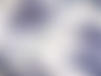 'Arctic Adventure' Quilt by Sally Ablett