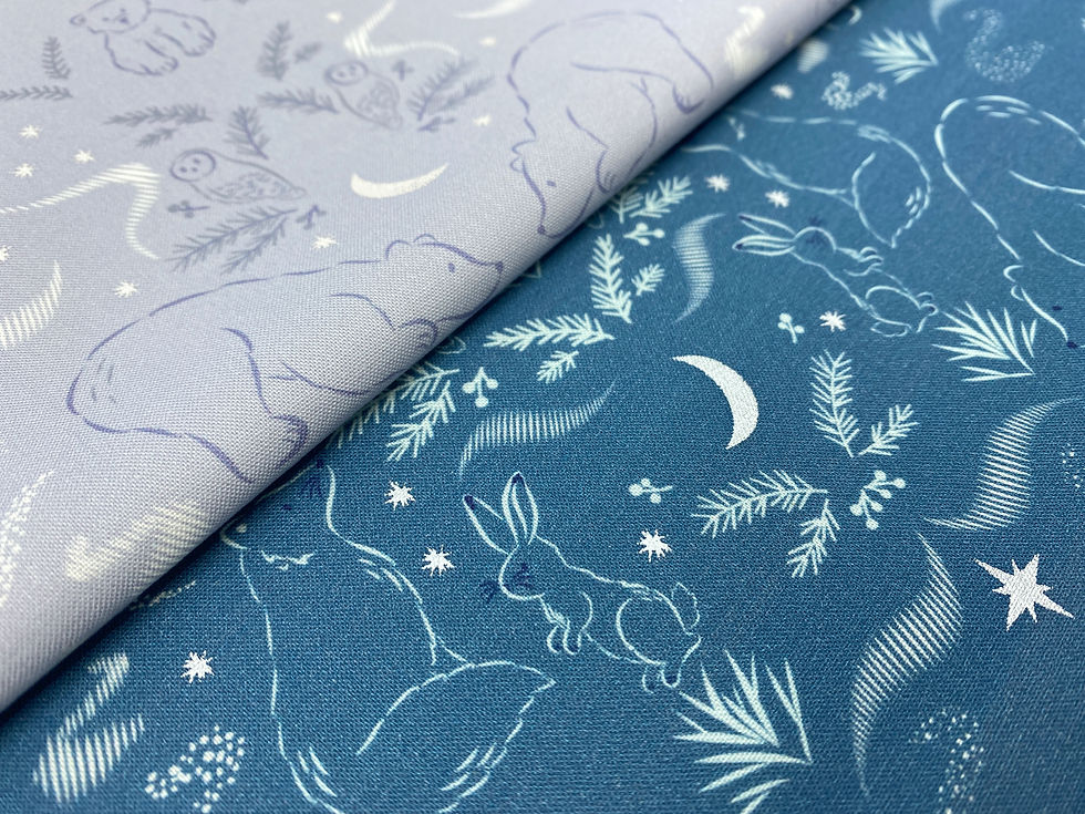 Arctic Adventure by Cassandra Connolly for Lewis and Irene