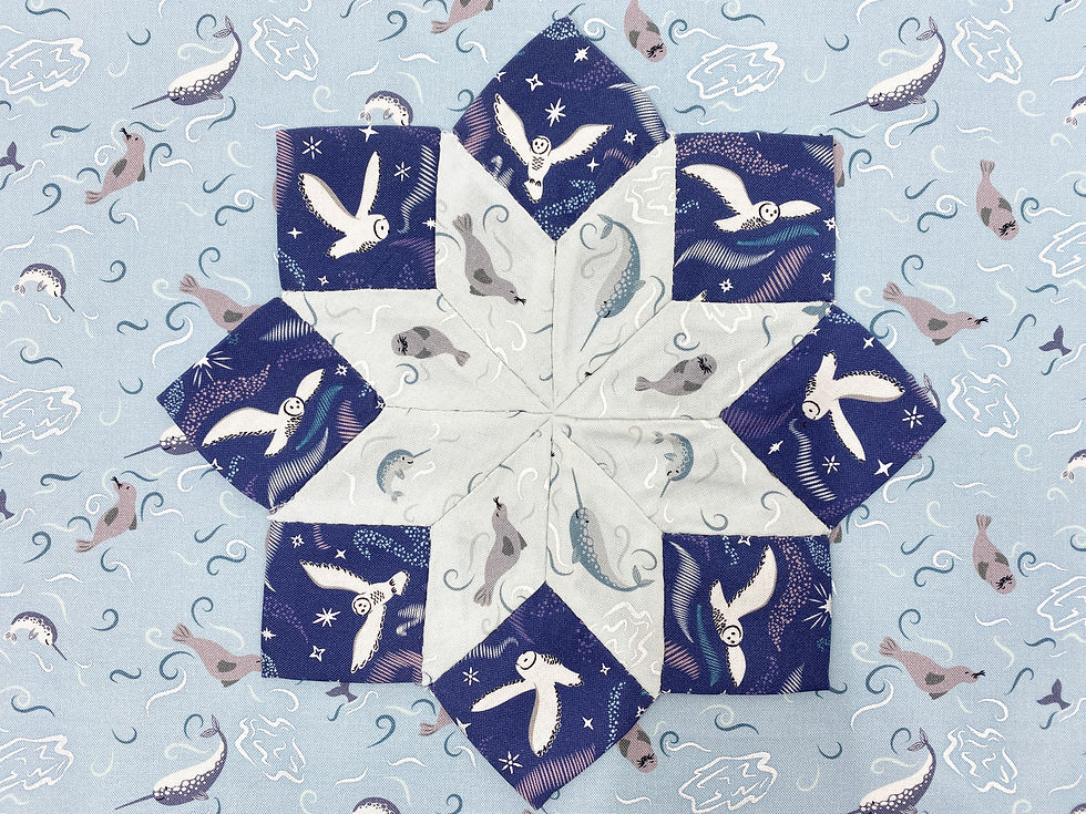 Arctic Adventure by Cassandra Connolly