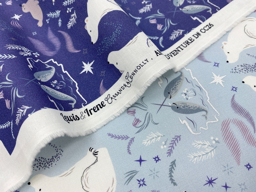 Arctic Adventure by Cassandra Connolly for Lewis and Irene