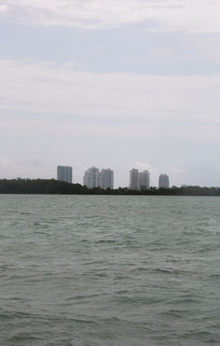 IMG_9831 copy-2.jpg