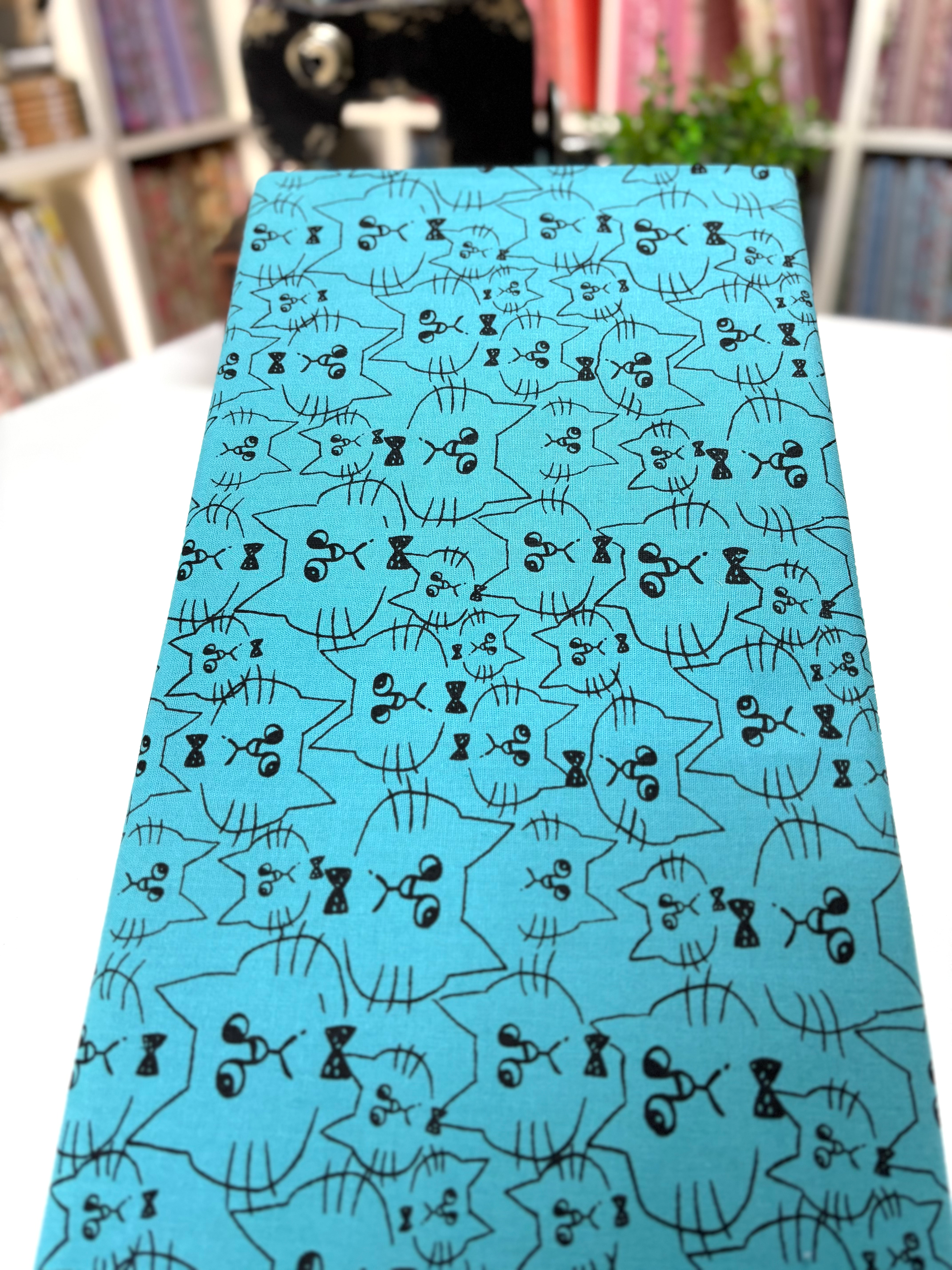 Tricoline estampado gatos preto com fundo azul turquesa 