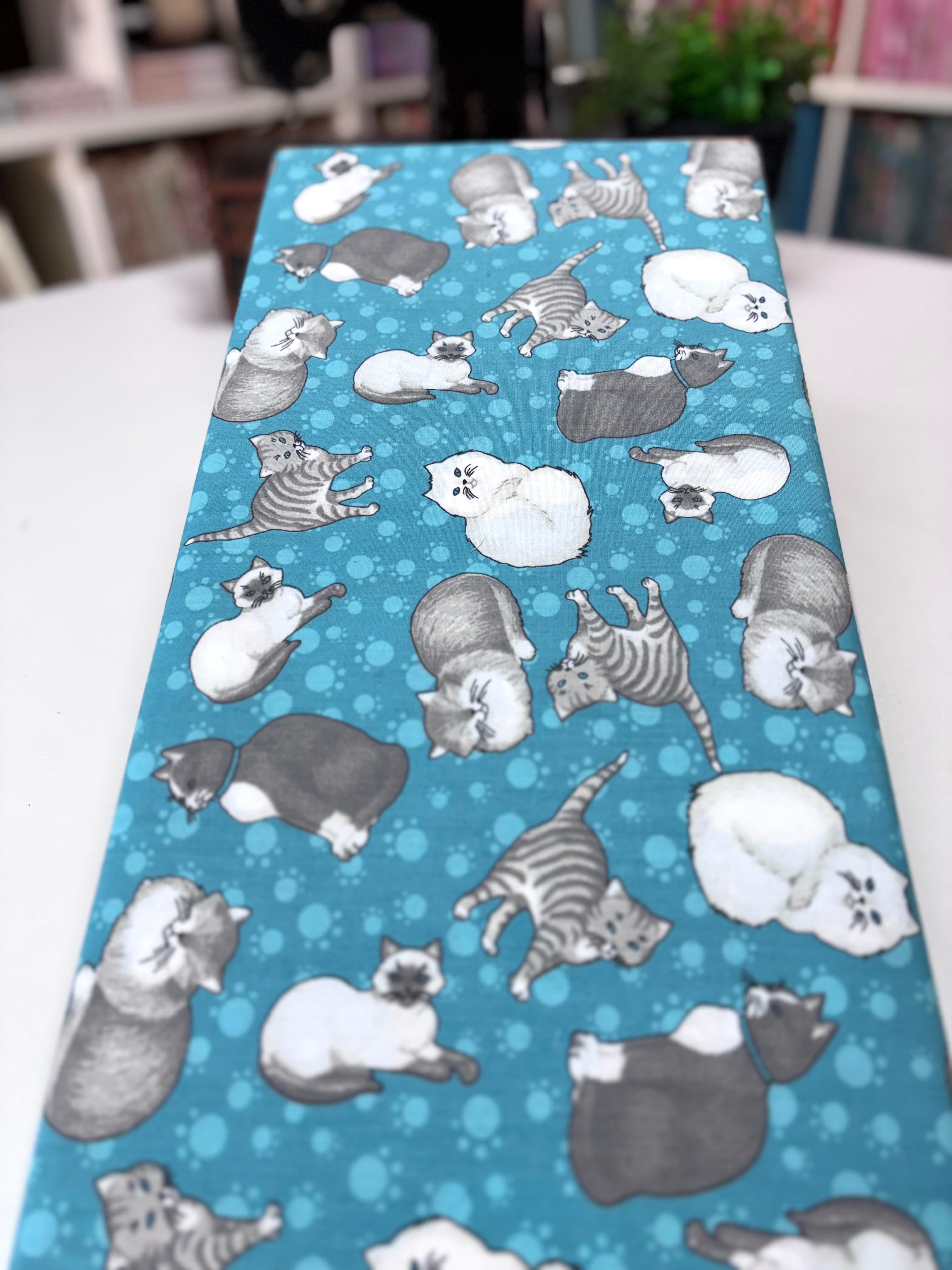 Tricoline estampado gatos fundo azul turquesa Coleção Debbie Mumm