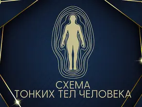 Анатомия тел человека