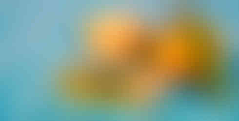 Эфирный аромат стихии огня: Источник жизненной силы