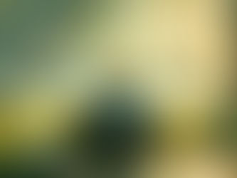 Искусство управления собой это живая практика, охватывающая весь спектр нашего бытия — от физического до духовного.Это система, в которой каждое движение пробуждает один из слоёв нашей глубинной сути.