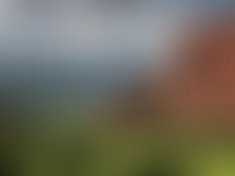 Течение обстоятельств в реке жизни: Мудрость Шамана