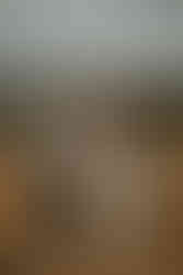 Couple Standing next to water holding eachother close during memphis maternity photoshoot