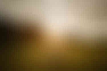 Couple leaning in for a kiss in front of warm sunset in memphis