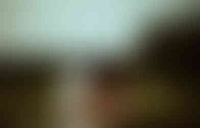 couple in blue hour kissing